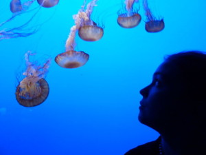Niño observando medusa