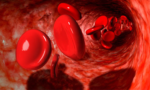 Eritrocitos y anemia
