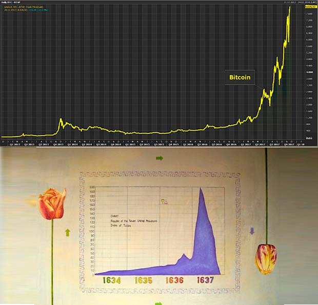 Gráfico de Bitcoin y Tulipanes